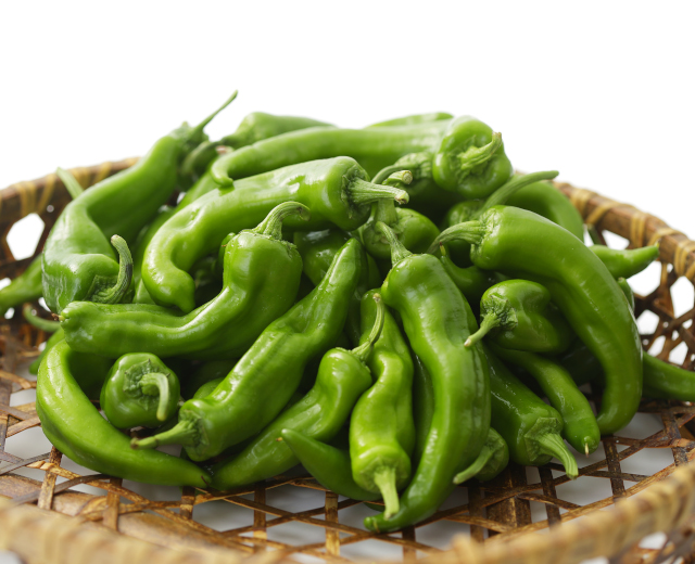 季節の食材